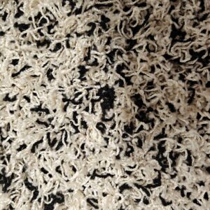 Ada nukkamatto, musta-valkoinen