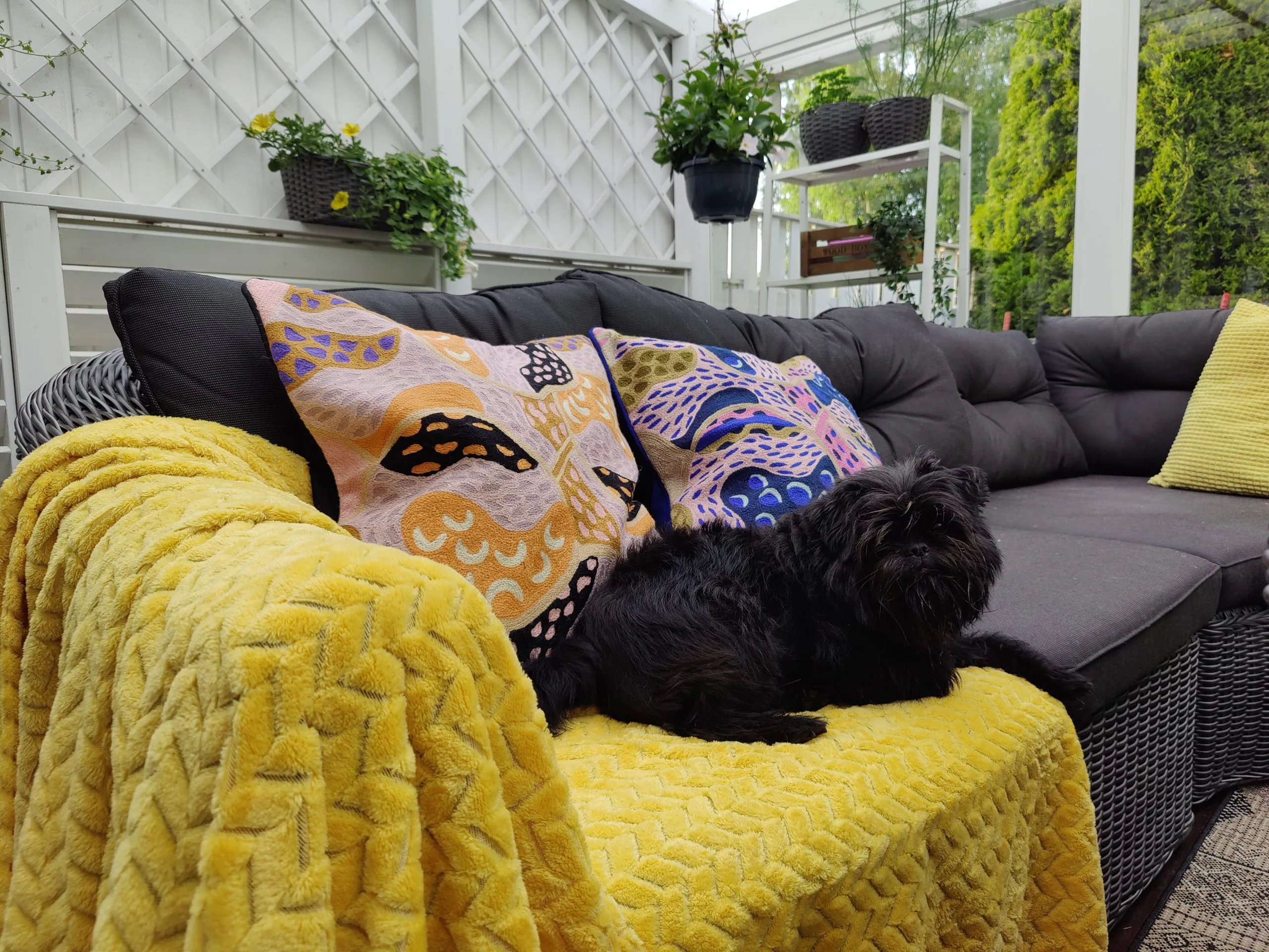 Paletti villa-puuvillatyynynpäällinen, sininen - Image 4