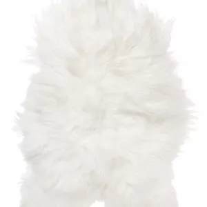 Molly lampaantalja, valkoinen