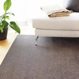 Eden nukkamatto, pellava