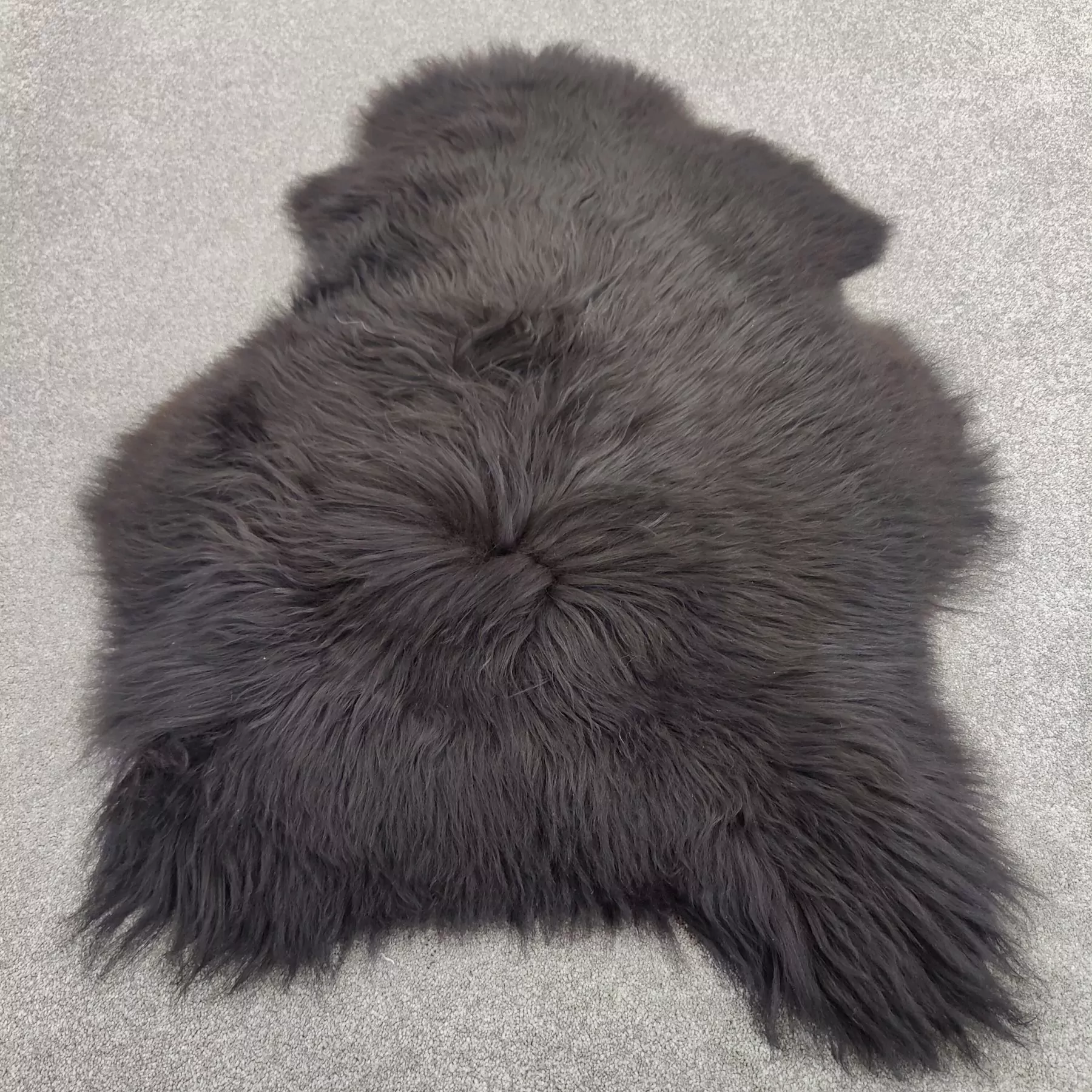 Lampaantalja, ruskea