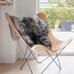 Molly lampaantalja, luonnollinen harmaa