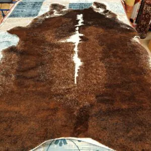 Maja exotic brown/white- talja